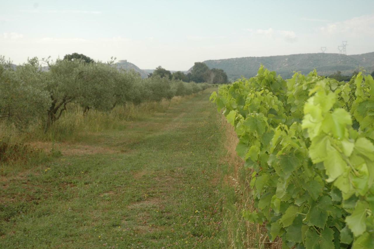 Domaine De Sevanes